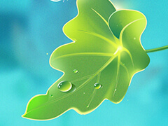 数据库优化专题1